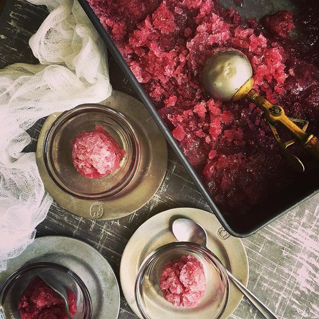 Black Grape & Ginger Granita Recipe The Feedfeed