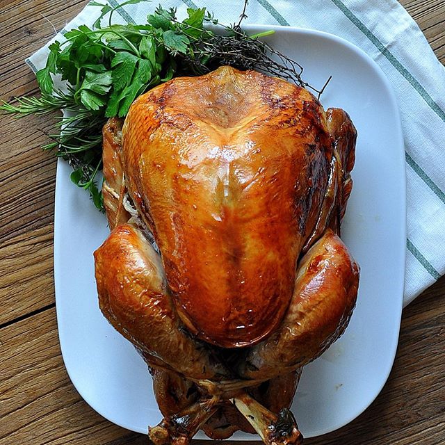 Roasted Beer Brined Turkey Recipe | The Feedfeed