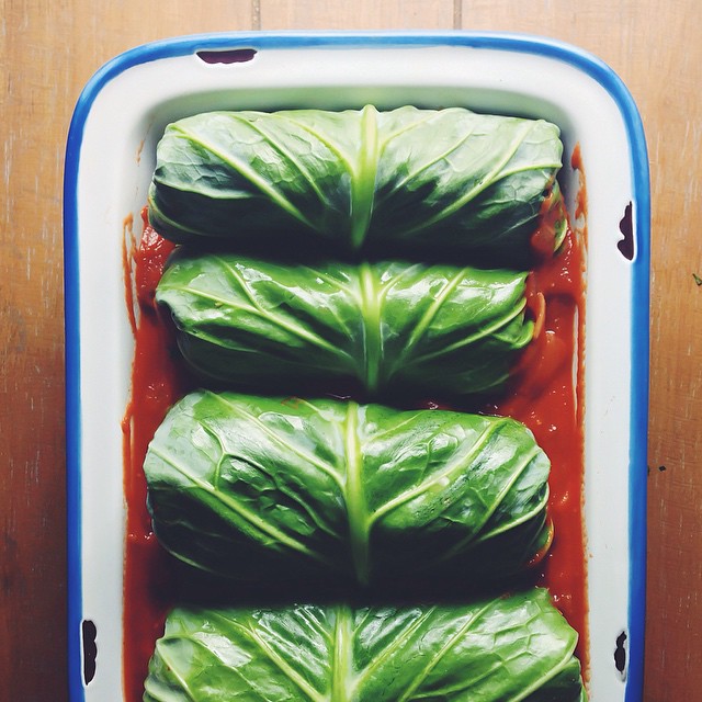 Turkey, Quinoa & Cranberrystuffed Cabbage Rolls by feedmedearly