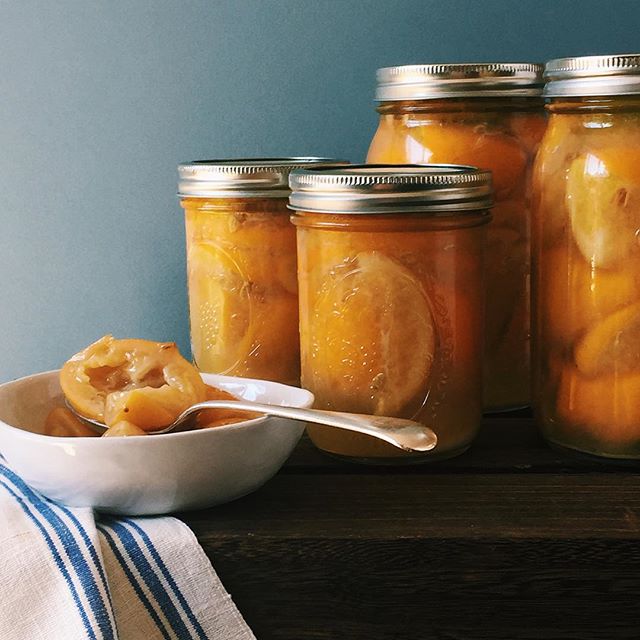 Preserved Meyer Lemons Recipe