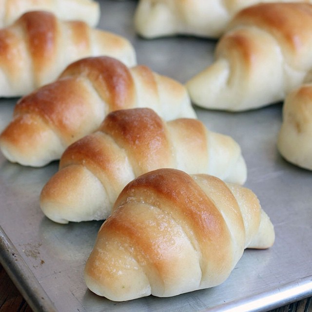 Crescent Dinner Rolls Recipe | The Feedfeed