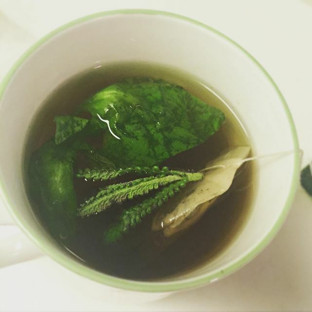 Lavendar And Basil Tea