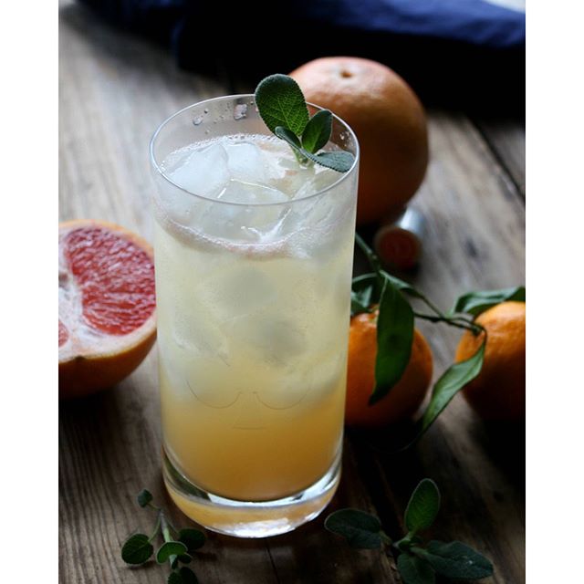 Citrus Sage Vodka Cooler Recipe The Feedfeed