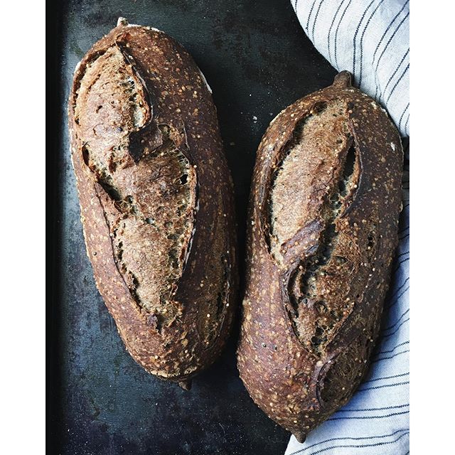 Sourdough Bread From Scratch By Maurizio Quick And Easy Recipe The Feedfeed 8237