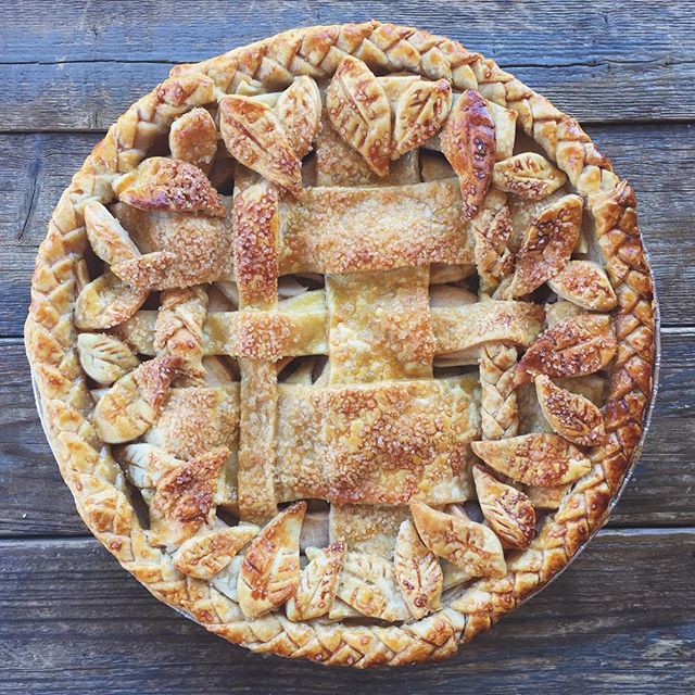 Apple Blossom Pie Recipe | The Feedfeed