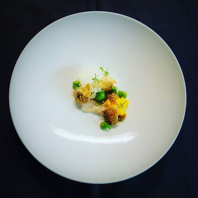 Nordic Zander Ceviche, Egg Yolk, Leek Confit And Leek by thebot82