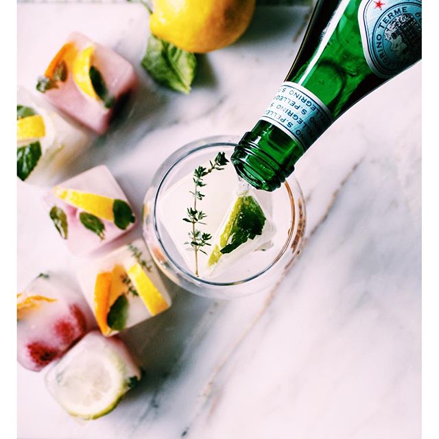 Citrus & Herb Ice Cubes Recipe The Feedfeed
