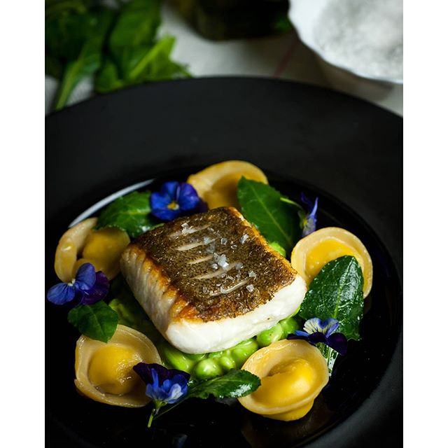 Brill Fennel Tortellini Recipe The Feedfeed