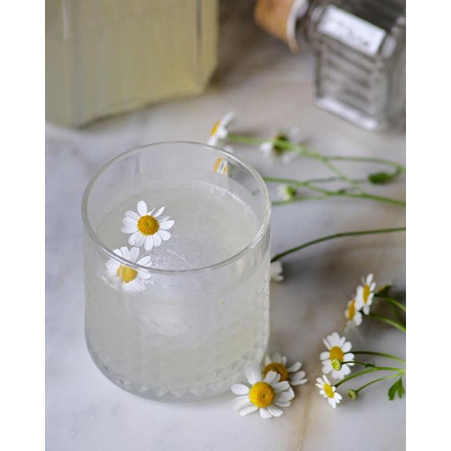 Chamomile Infused Gin Recipe The Feedfeed