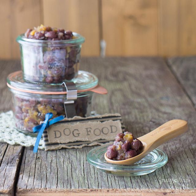 Stewlike Red Beans And Pumpkin Deli, For Dogs And Dog Owners Recipe