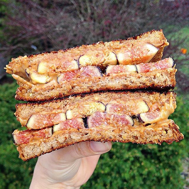 Grilled Peanut Butter And Fig Sandwich Recipe The Feedfeed
