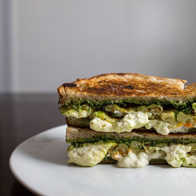 Mozzarella Squash Blossom Grilled Cheese Recipe The Feedfeed