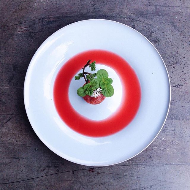 Rhubarb Compote And Soup Recipe The Feedfeed