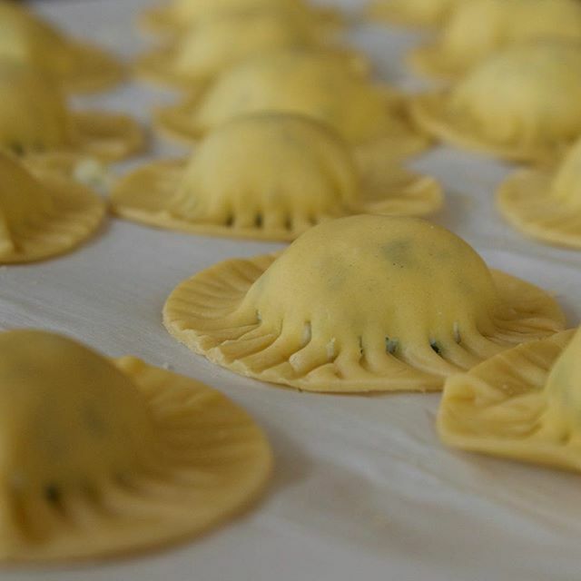 Rolling out goat cheese and peas ravioli with KitchenAid R…