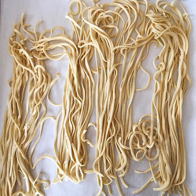 Fresh Gluten Free Pasta Recipe | The Feedfeed