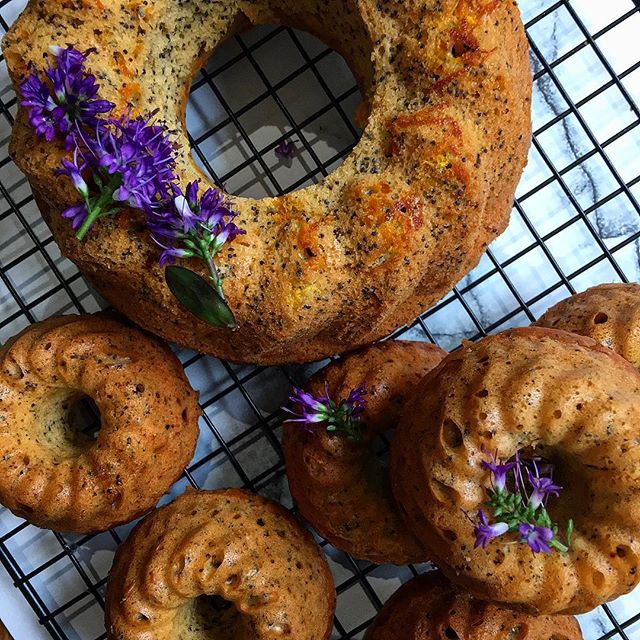 Vegan Organic Gluten Free Orange & Poppy Seed Cakes Recipe The Feedfeed