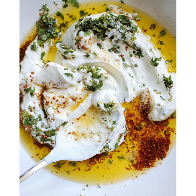 Moroccan Spiced Yogurt by thebeelake Quick & Easy Recipe The Feedfeed