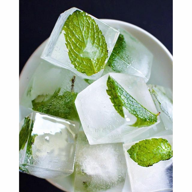 Frozen Mint Leaf Ice Cubes Recipe