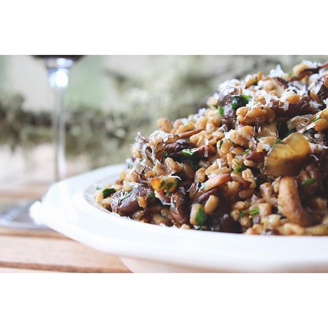 Wild Mushroom And Shallots With Warm Farro recipe by Annie Jefferson The Feedfeed