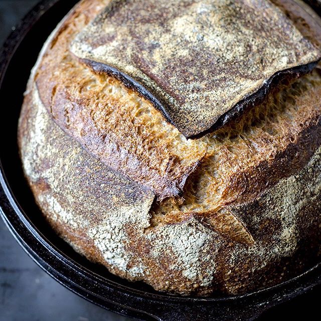 How To Keep A Sourdough Starter by lbrownbakery Quick & Easy Recipe