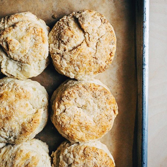 Homemade Sourdough Biscuits Recipe The Feedfeed