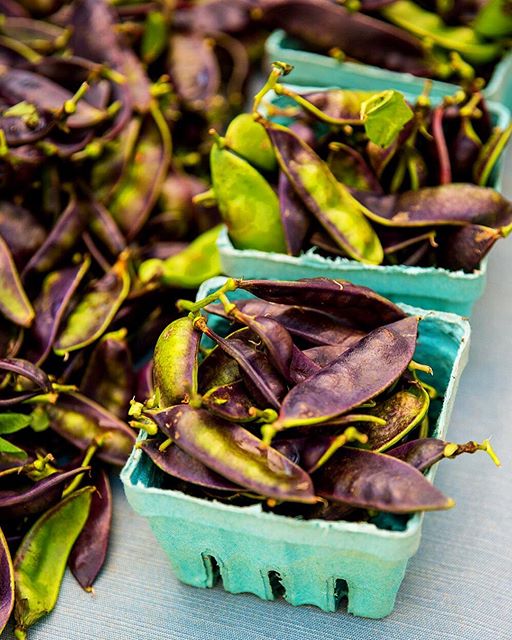 Purple Bean Dippers Recipe The Feedfeed