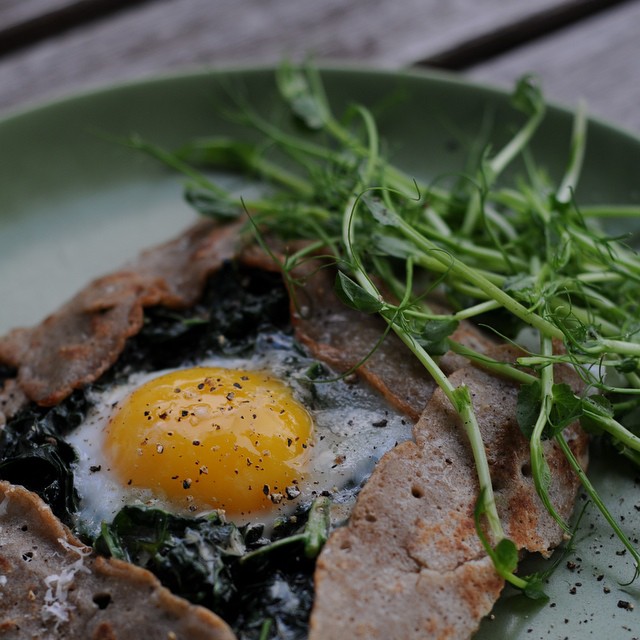 Black Kale Galette With Egg, Parmesan & Cream Recipe The Feedfeed