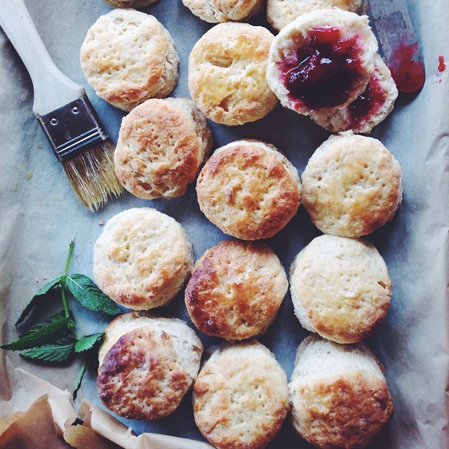 50+ of the Best Buns, Rolls & Biscuits Recipes on FeedFeed