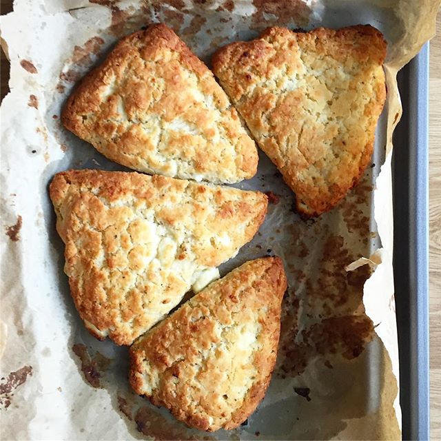 Savoury Scones With Goat Cheese Recipe The Feedfeed