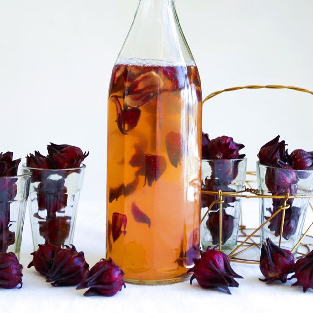 Hibiscus Kombucha Recipe The Feedfeed