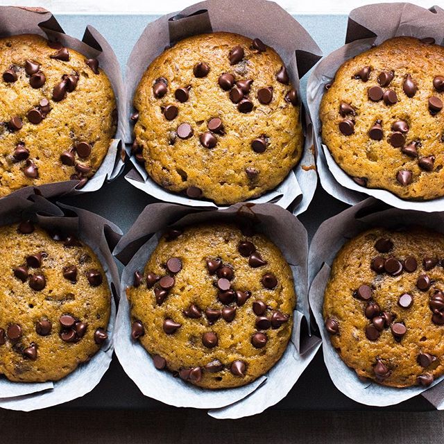 Chocolate Chip Pumpkin Muffins With Tahini Glaze by megiswell Quick & Easy Recipe The Feedfeed