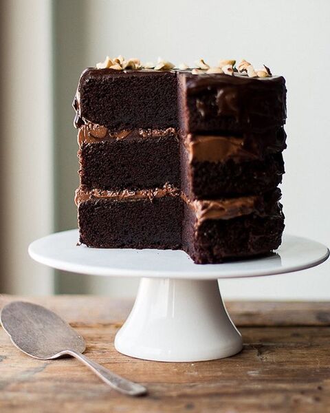 Chocolate Hazelnut Layer Cake Recipe By Kayley Mccabe The Feedfeed