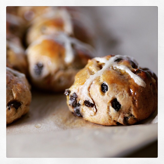 Orange And Dark Chocolate Hot Cross Buns Recipe | The Feedfeed