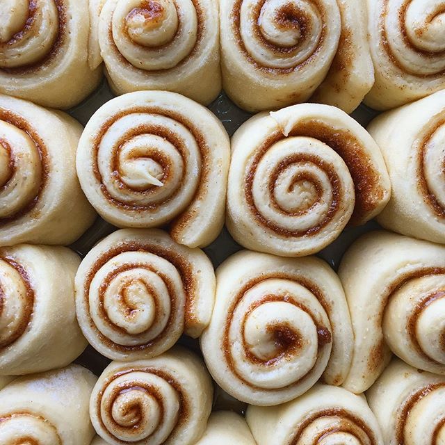 One Hour Classic Cinnamon Rolls Recipe | The Feedfeed