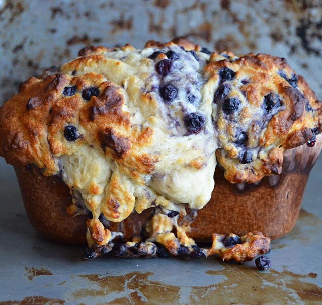 Blueberry Yogurt Bread Recipe The Feedfeed