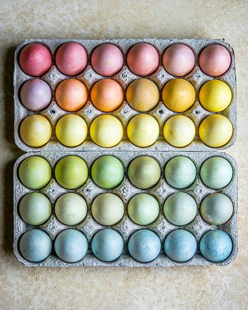 Naturally Dyed Rainbow Easter Eggs Recipe The Feedfeed