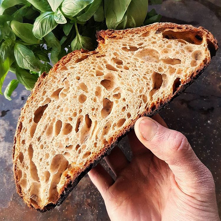 Country Brown Bread by ca_mia_breadlab Quick & Easy Recipe The Feedfeed