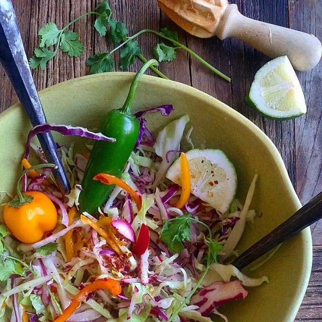 Mexican Style Slaw With Radish, Carrots & Cabbage Recipe The Feedfeed