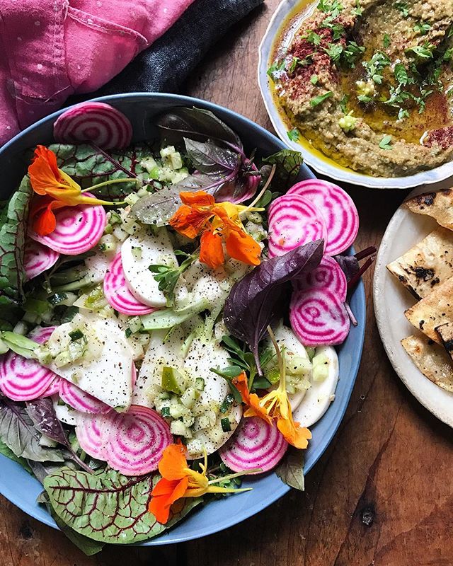 Vibrant Beet & Turnip Salad Recipe The Feedfeed