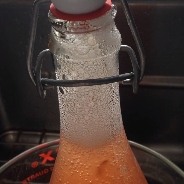 Grape Juice Kombucha Recipe The Feedfeed