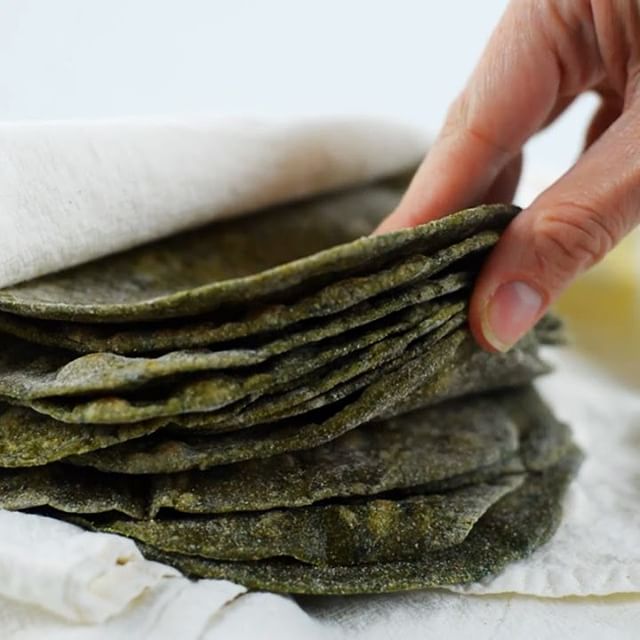 Homemade Spinach Tortillas Recipe | The Feedfeed