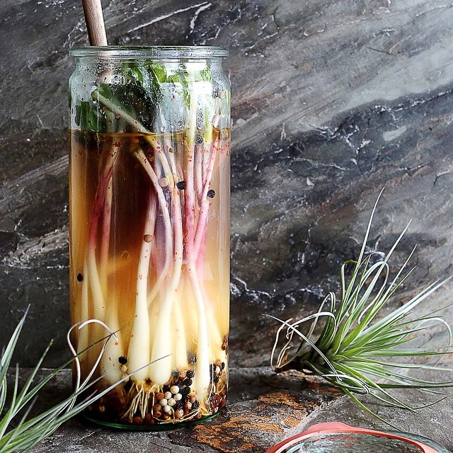 Pickled Ramps Recipe The Feedfeed