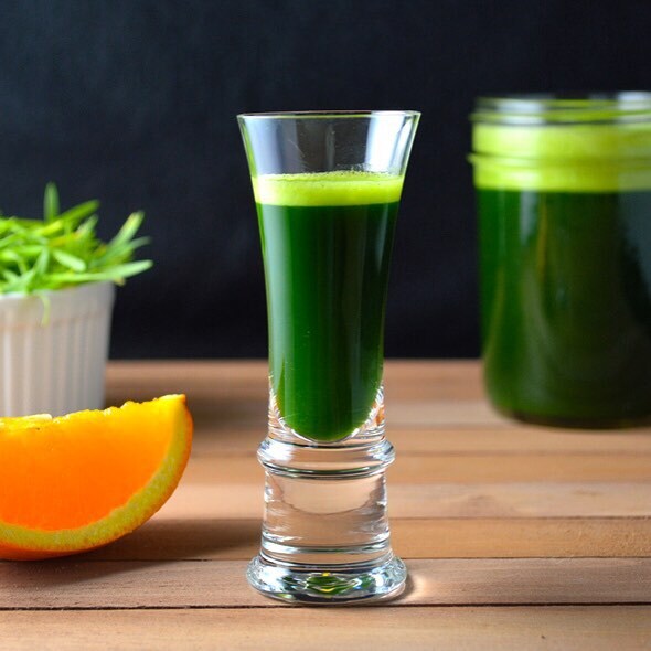 Wheatgrass Shot Recipe Vitamix Dandk Organizer