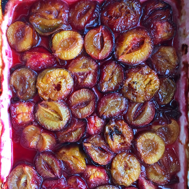 Roasted Plums Recipe The Feedfeed