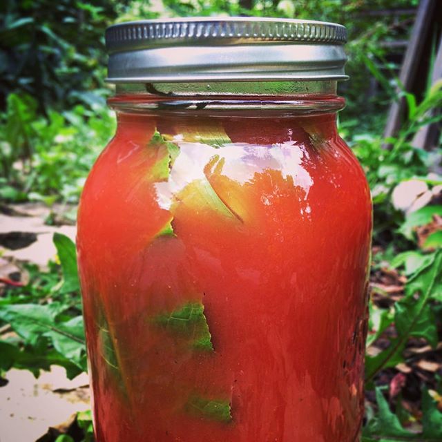 Bloody Mary Mix Recipe The Feedfeed