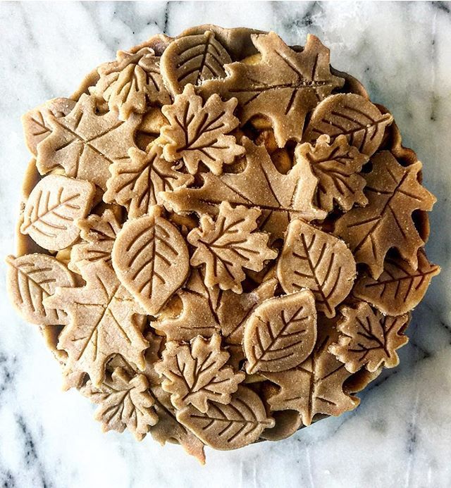 Apple Pie with Cinnamon Decorative Crust Recipe | The Feedfeed