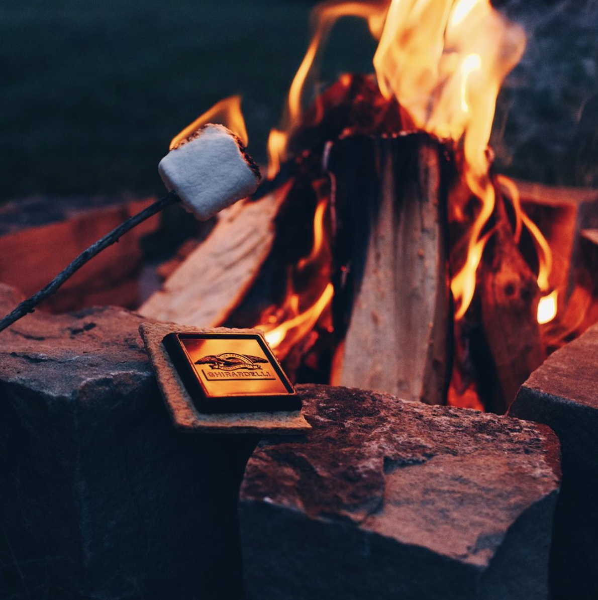 smores campfire tumblr