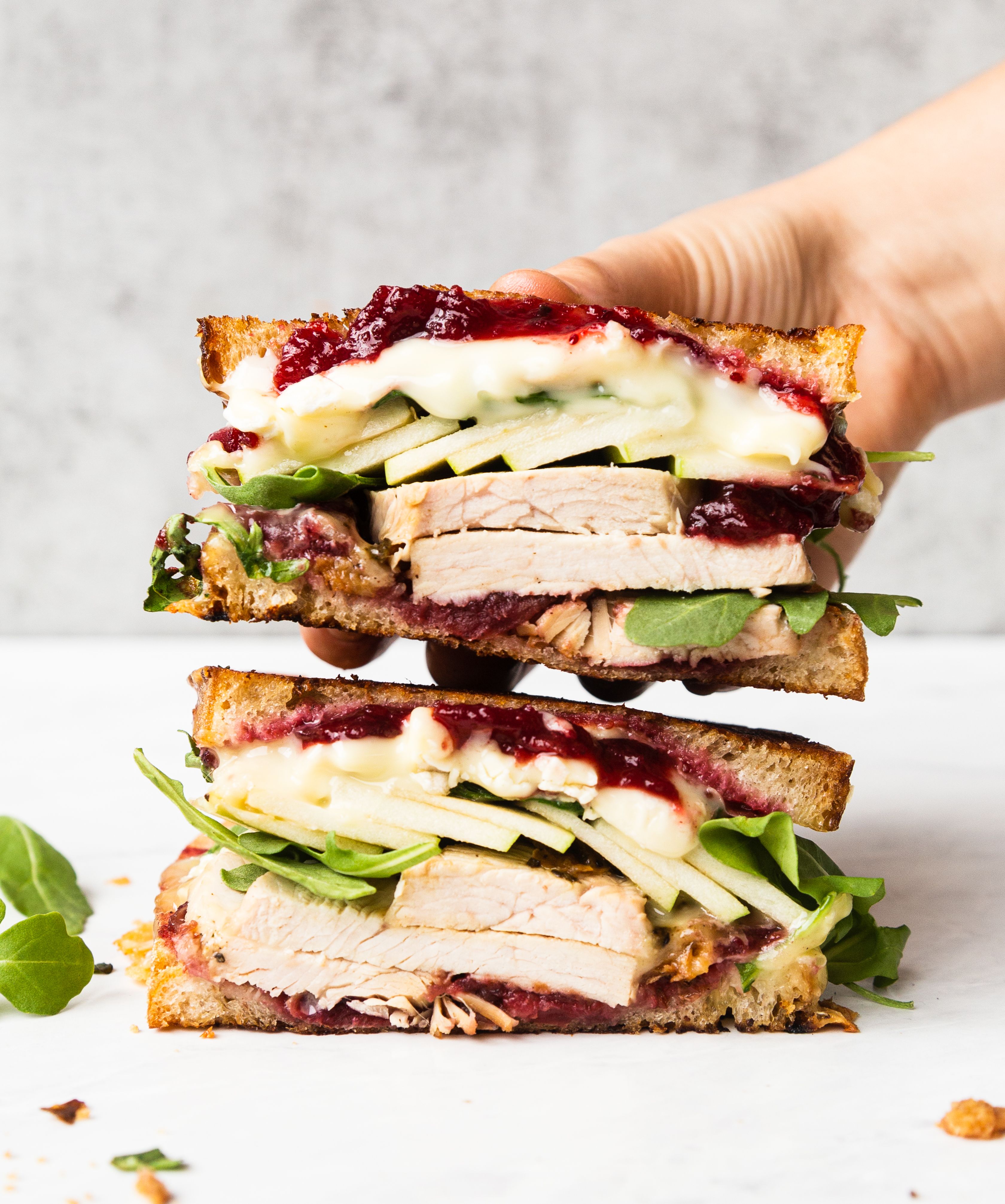 Leftover Turkey Panini With Cranberry
