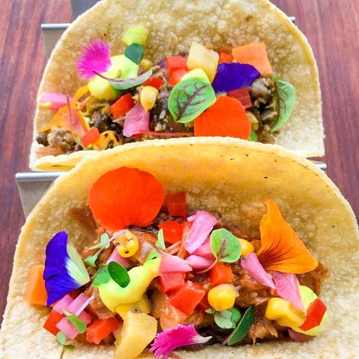 Vegan Jackfruit & flower tacos Recipe The Feedfeed
