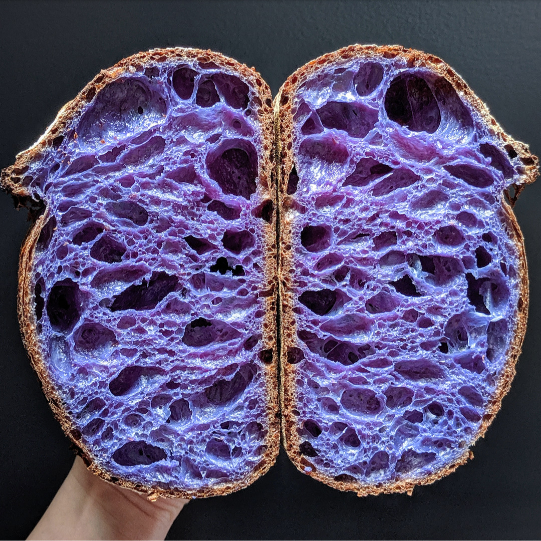 Butterfly Pea Flower Sourdough By Fullproofbaking Quick Easy Recipe The Feedfeed